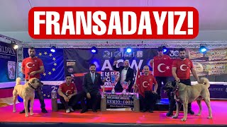 🇫🇷 FRANSA DA DÜNYA ŞAMPİYONU KANGAL ZORRO nun Sahibini Ziyaret ettik!