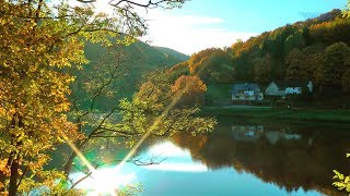 Eifel Nationalpark Rurseen und Umgebung [ 02/17 ] Herbst