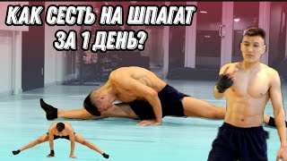 Как сесть на шпагат без боли за один день?