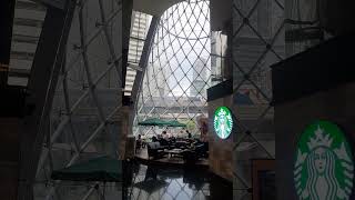 Bangkok vlog starbucks under skyscraper