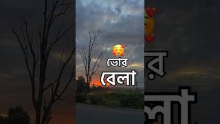 ভোরবেলা 🥰#shorts #nature #yt #shortvideo #status #whatsappstatus #naturephotography