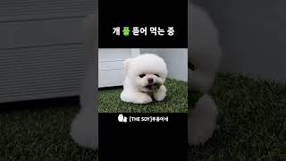 샐러드바 거덜내는 먹방 유튜버