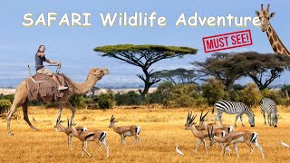 Safari Wildlife Quarantine Adventure - Must Visit Southern Destination! Drive Thru Animal Park 2020