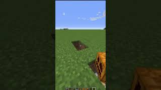 minecraft dekorasyon yapımı #shortsvideo