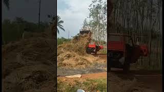 Unloading the harvested rice