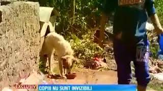 Pentru oeameni nevoiași am acest canal si pentru iei Vreu sa i ajut