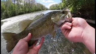 Great Miami river fishing! Piqua, Ohio