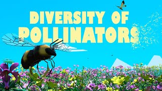 Diversity of Pollinators