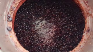 COME FARE IL VINO BIANCO FERMO IN CASA EP 3: CONTROLLO FERMENTAZIONE E TEMPERATURA!