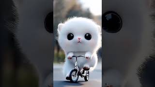 AI Generated Cute cat | Ft. Ai Digital #invideo #short #leonardoai #Runwayml #ai #capcut #baby #cat