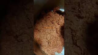 Making GajarHalwa #pandeypedia #shortvideo #shorts #short #youtubeshorts #food #vlog