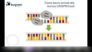 Webinar L'ERA DEL CRISPR/CAS9 -  15 aprile 2021