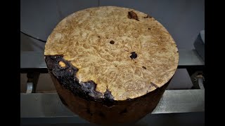 Woodturning a beautiful Maple Burl