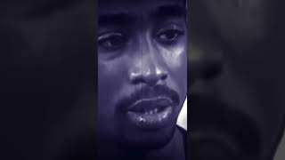 PAC let us know back in 95' what was to come...look at us now #viral #2pac #hiphop #truth #Makaveli