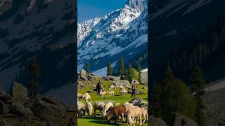 3 of the most beautiful places on earth Episode 27 #shorts #travel