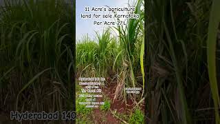 11 Acre’s agriculture land for sale mannaekhelli #zaheerabad #humnabad #nh65 #nirna #hyderabad