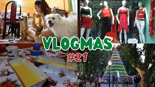 VLOGMAS #21 buscando regalos, paseando los perros e hice budines🎅