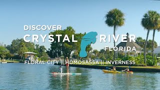 Discover Crystal River Florida