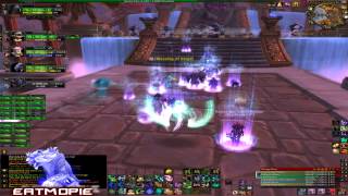 Eatmopie's 101 st Video  Windwalker Monk DPS Terrace of Endless Spring LFR