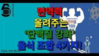 면역력 올려주는 단백질 강화 음식 조합 4가지!