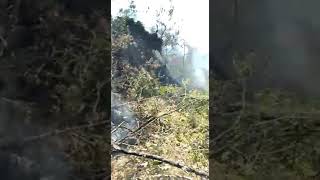 Proses Water bombing gunung Ciremai yang terbakar #BPBD #Majalengka #karhutla