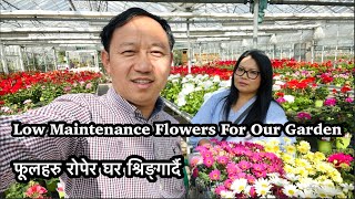 Buying low maintenance flowers | Mr Rai र परिवार  फुलबारीको लागि फुल खोज्दै | Nepali Family UK Vlog