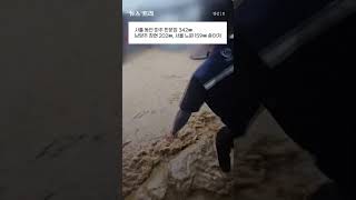 강으로 변한 청계천…실화냐??