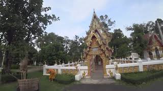 CT125 Day Ride in Village Life Ubon Ratchathani, Life is Good on a Honda