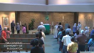 Daily Mass Live Stream - September 27, 2024:  Memorial of Saint Vincent de Paul, Priest