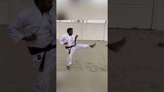 Shito-ryu ippon kumite #shitoryu #shitoryukarate #india #dubai