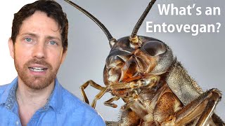 Is Eating Insects the Solution?