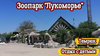 Зоопарк Лукоморье - станица Голубицкая #2023 #темрюк #лето #дети #животные #черноеморе #июль