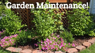 South Garden Maintenance!  Patio Box cleanup💐🍃 [ Zone 7B Waldorf MD] 🌸🌿