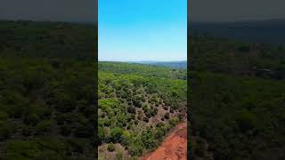 kokan beauty #kokan #dronevideo #viral #mumbaigoahighway