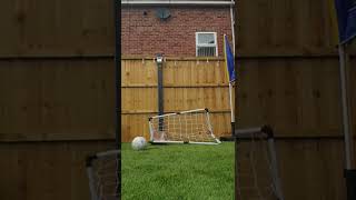 2nd try recreating David be Beckems free kick in a mini net, part 2 (final part) #mininet #2attempts