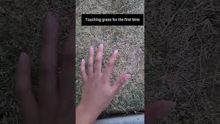 Touching grass for the first time #corny #goofy #touch #grass #touchgrass #YourAverageLucario