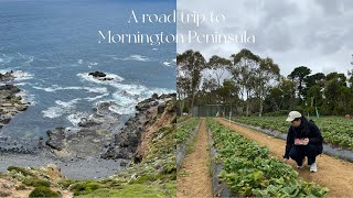 melbourne VTL travel vlog | road trip to mornington peninsula over Christmas weekend