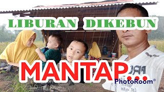 Anak Tani Sawit liburanya di kebun aja...