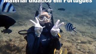 PADI Open Water Diver