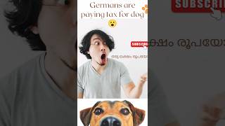 Dog tax ഒരു ലക്ഷം രൂപയോ ? 😮 | Germans are paying tax for dog | Germany | വീഡിയോ കണ്ട് നോക്കാം