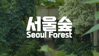 서울숲🌳 시네마틱 브이로그 | 소니 A7M4 | Sony A7IV | Cinematic Travel Vlog Video | Seoul Forest