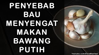 Kenapa Bawang Putih Menyebabkan Bau Menyengat Ketika Dimakan?