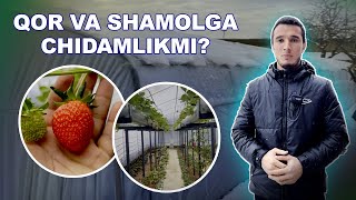 ISSIQXONANI QOR BOSIB QOLMAYDIMI? MIJOZIMIZDAN KELGAN VIDEO