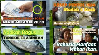 INFO IKAN