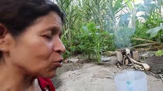 Doña Leticia no quiere hacer limonada | Mejores momentos de Doña Leticia