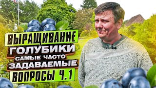 ГОЛУБИКА. ВСЕ о выращивании голубики или "голубика от а до я" Ответы на ВАШИ вопросы от ОЛЕГА ВАГИНА