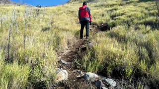 Summit g sindoro via alang alang sewu