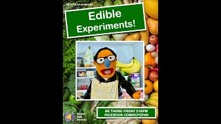 #SCFGLive: Edible Experiments