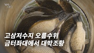 [낚시가 좋다] 14회_고삼지 오름수위 붕어낚시 대박조황 / 금터좌대