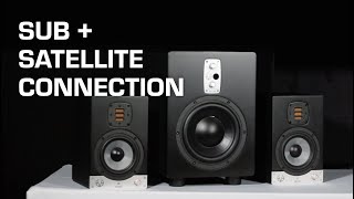 How to Connect your Speakers to your Subwoofer | EVE Audio | Tech Talk